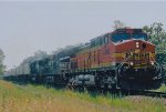 BNSF 4366 West